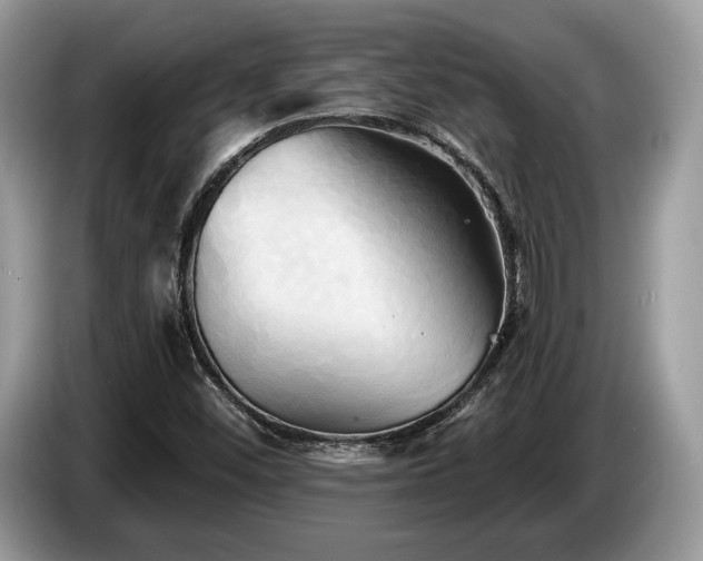 X0000087511452200704271114