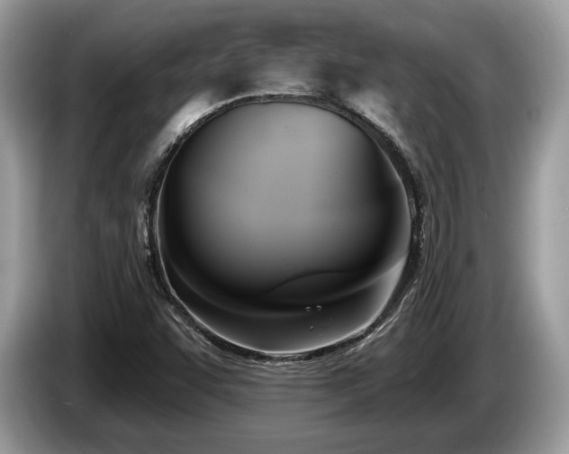 X0000087511455200704271114