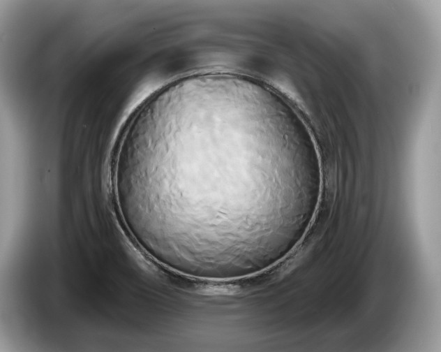 X0000087511466200704271114