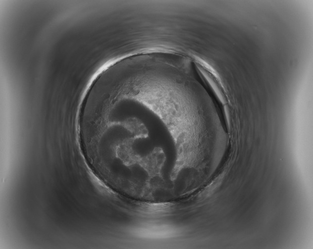 X0000087511471200704271114