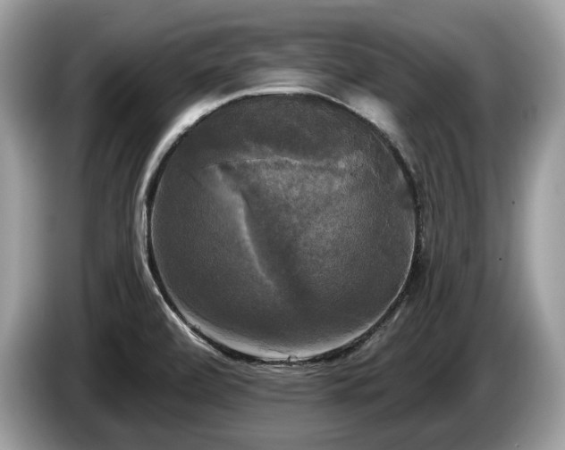 X0000087511472200704271114