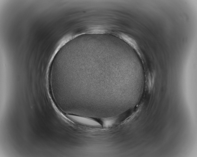 X0000087511475200704271114