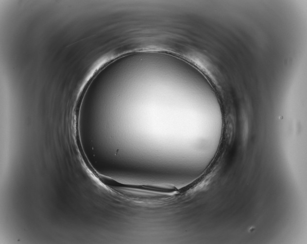 X0000087511476200704271114