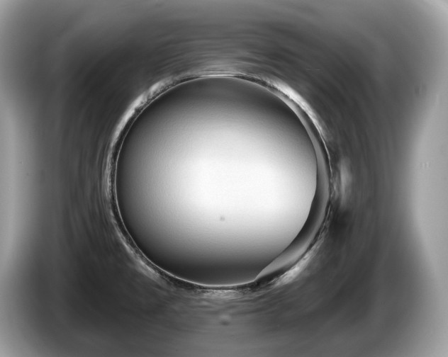 X0000087511477200704271114