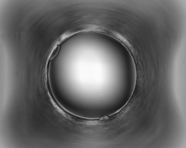 X0000087511479200704271114