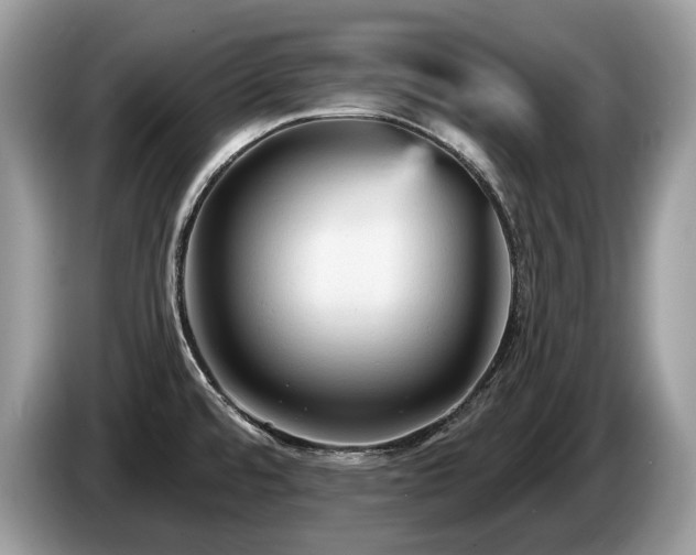 X0000087511480200704271114