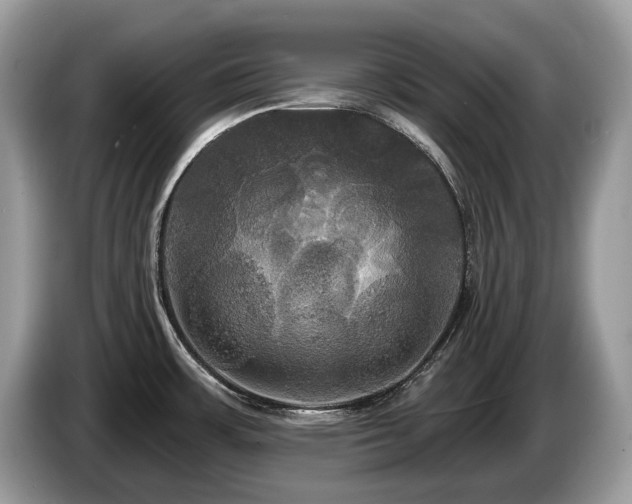 X0000087511483200704271114
