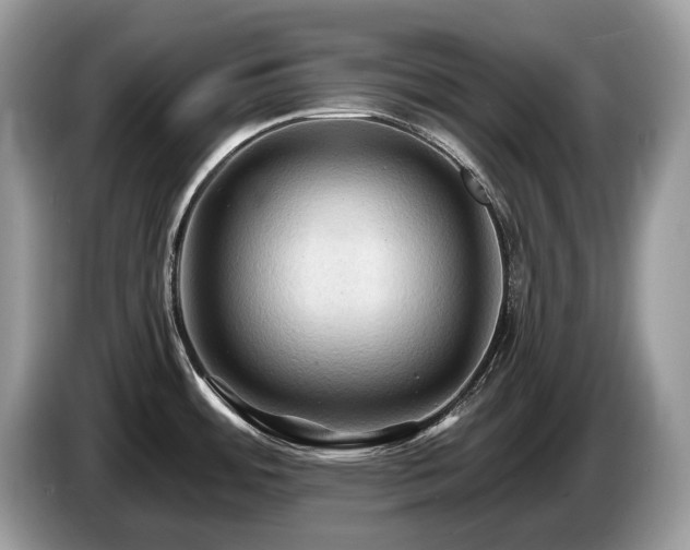 X0000087511484200704271114