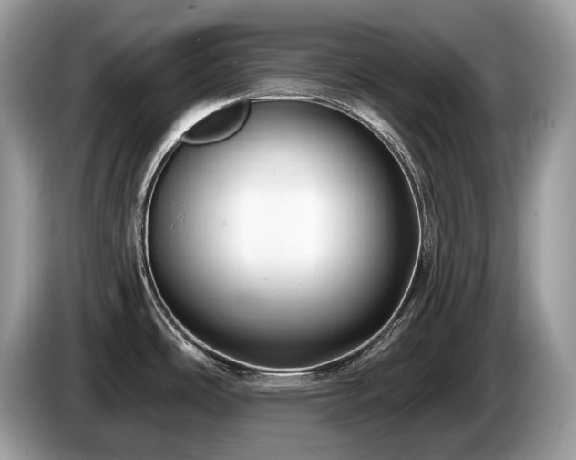 X0000087511486200704271114