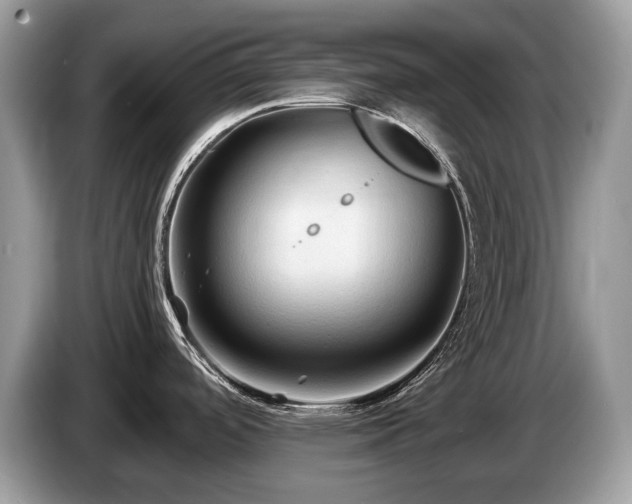X0000087511488200704271114