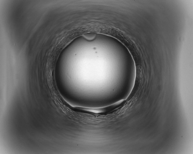 X0000087511489200704271113