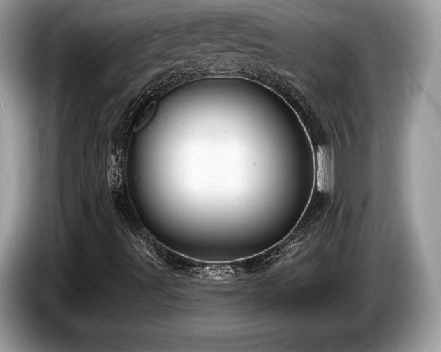 X0000087511491200704271113