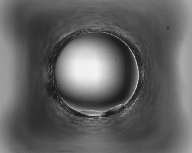 X0000087511494200704271113