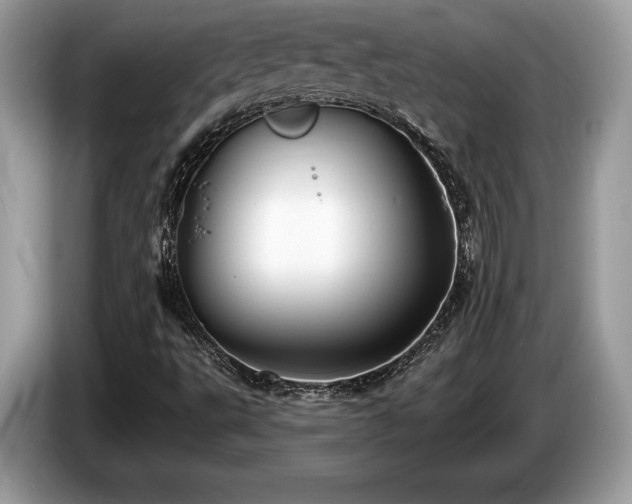 X0000087511495200704271113