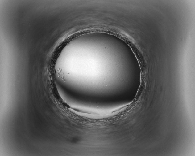 X0000087511496200704271113