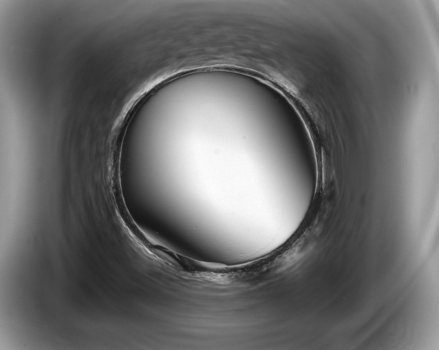 X0000087511500200704271113