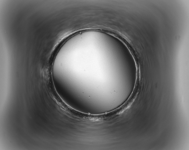 X0000087511501200704271113