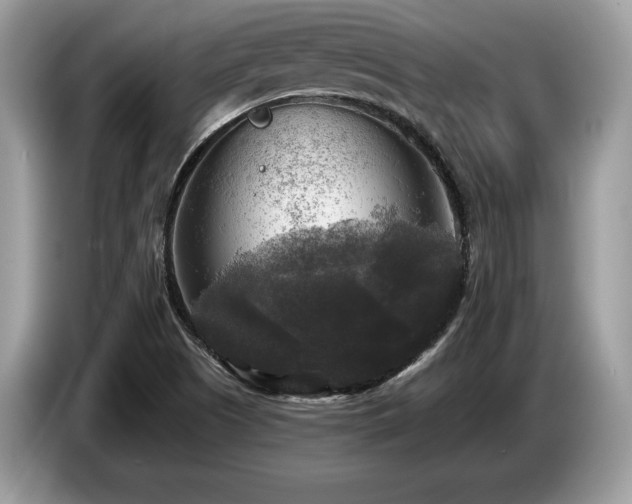 X0000087511505200704271113