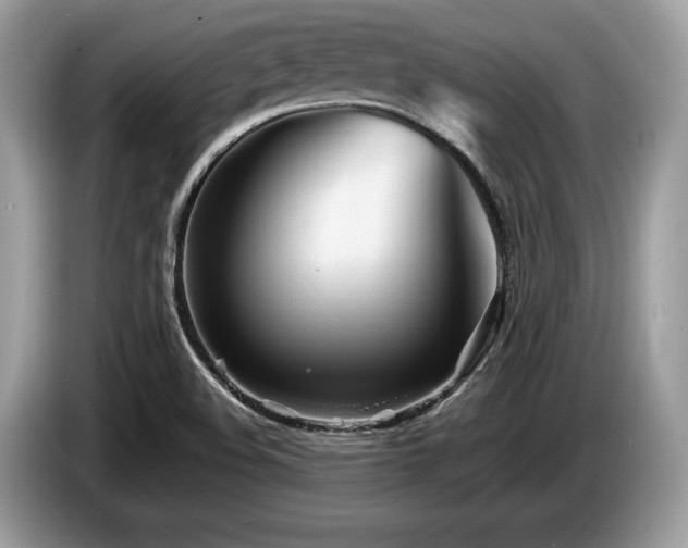 X0000087511508200704271113