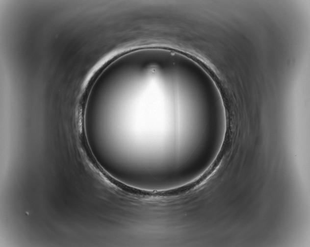 X0000087511510200704271113