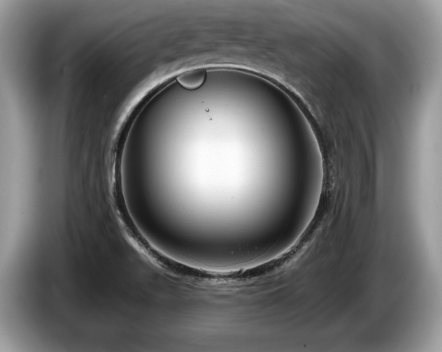 X0000087511511200704271113