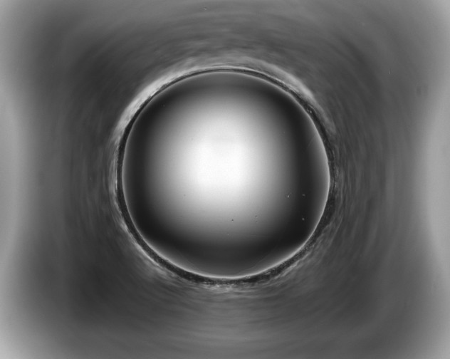 X0000087511512200704271113
