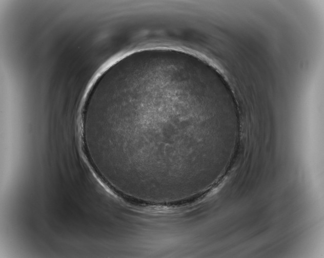 X0000087511517200704271113
