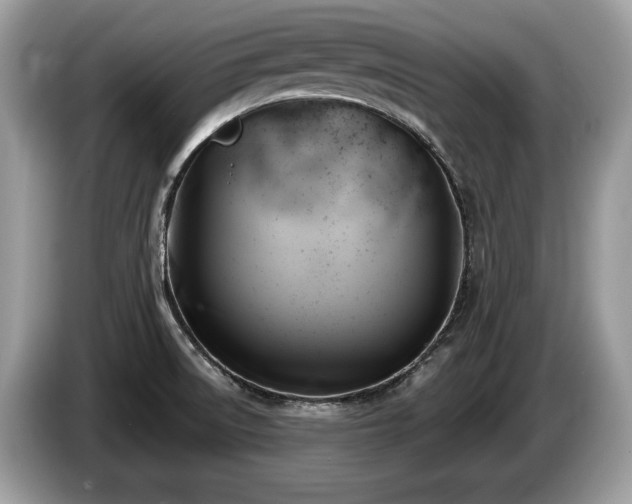 X0000087511522200704271113