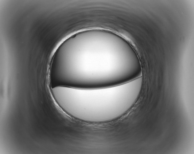 X0000087511524200704271113