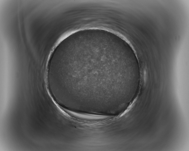 X0000087511525200704271113