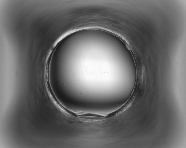 X0000087511526200704271114