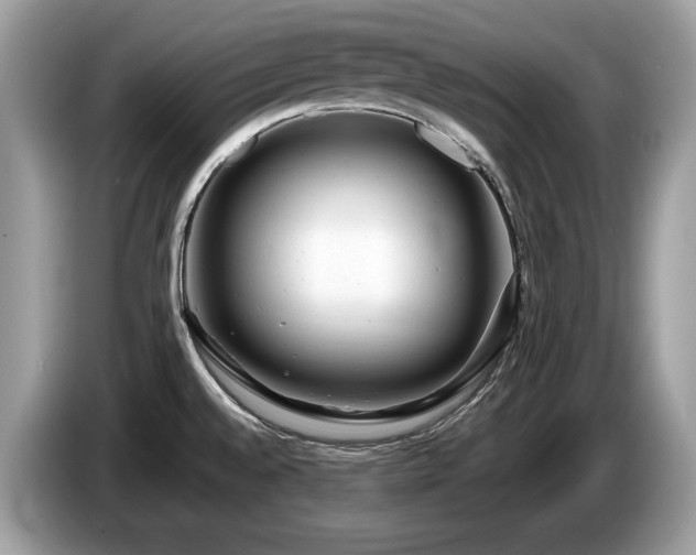 X0000087511528200704271114