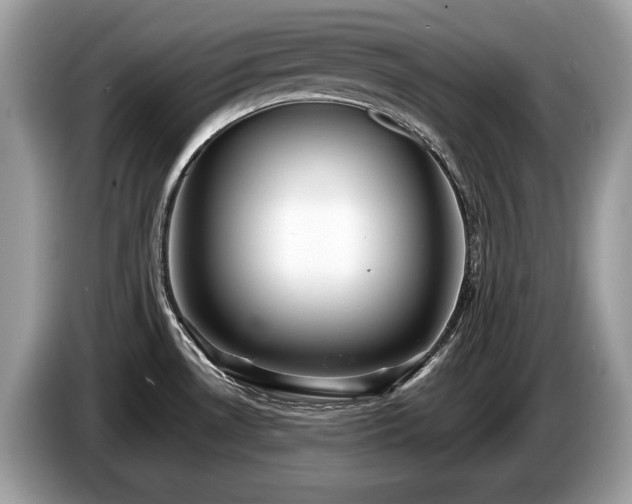 X0000087511530200704271114