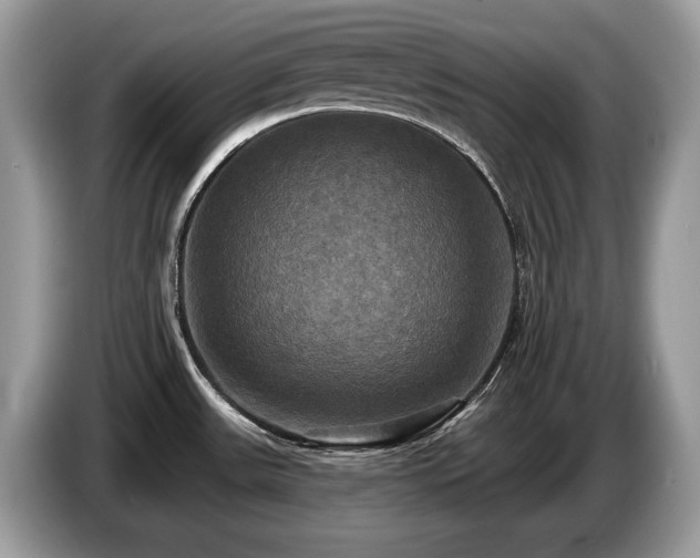X0000087511531200704271114
