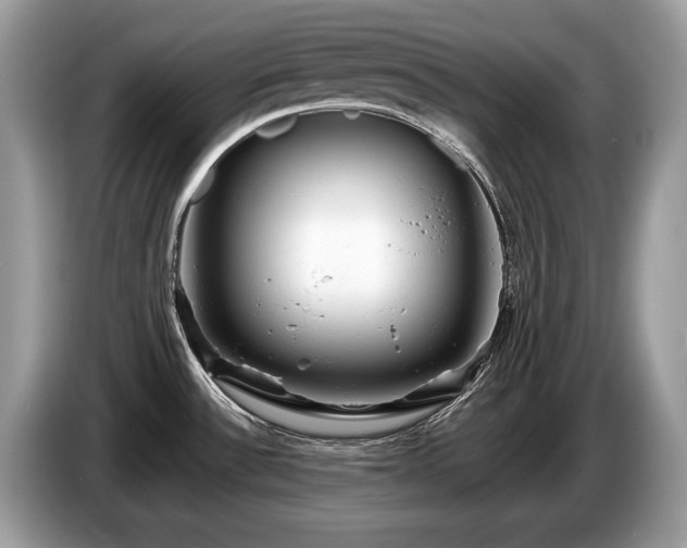 X0000087511532200704271114