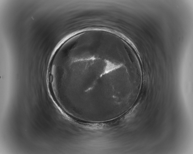 X0000087511533200704271114