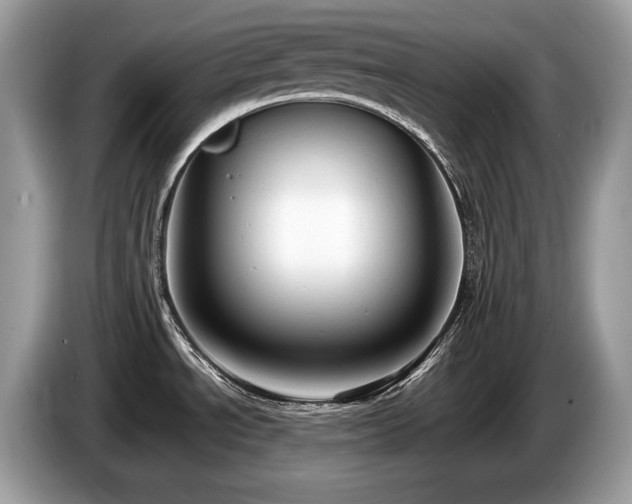 X0000087511534200704271114