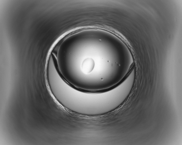 X0000087511536200704271114