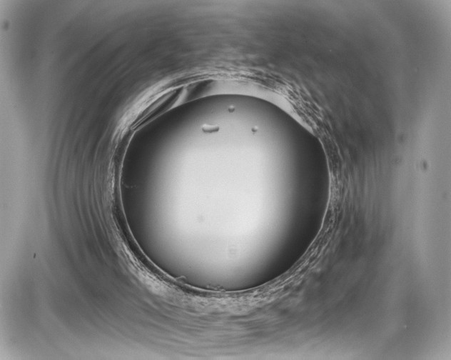 X0000087510005200705041000