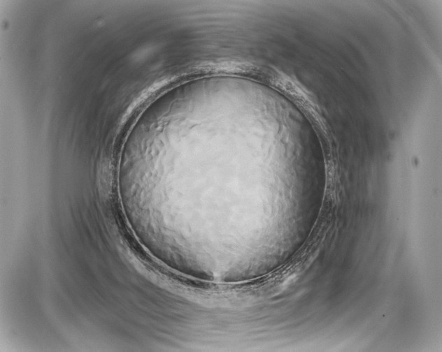 X0000087510012200705041000