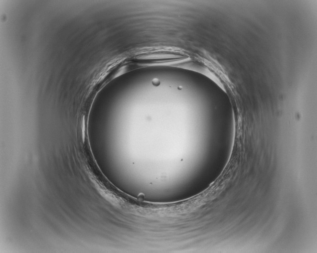 X0000087510013200705041000