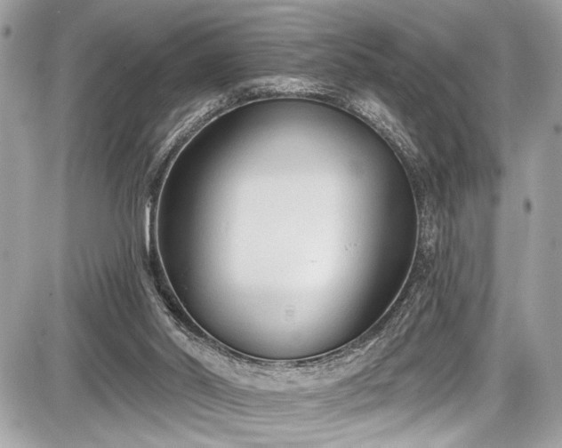 X0000087510014200705041000