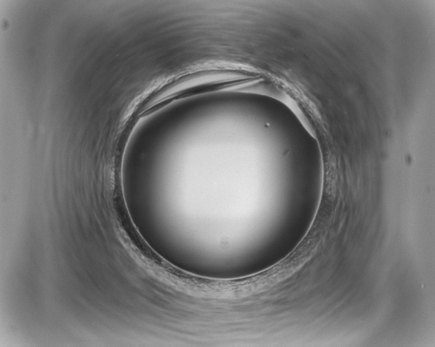 X0000087510015200705041000