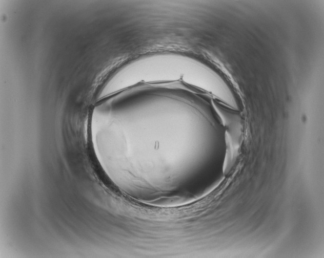 X0000087510019200705041000