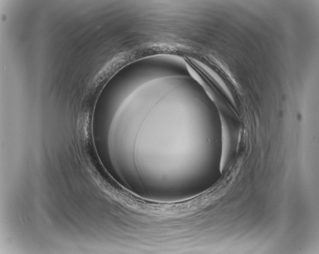 X0000087510023200705041000