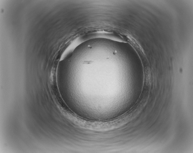 X0000087510026200705041000