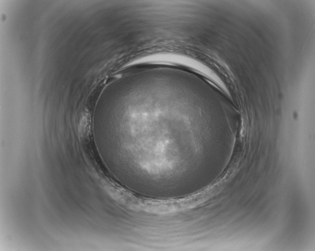 X0000087510029200705041000