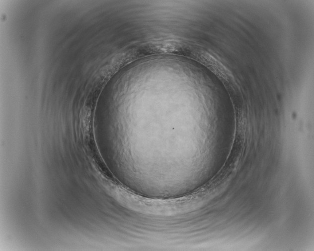 X0000087510030200705041000