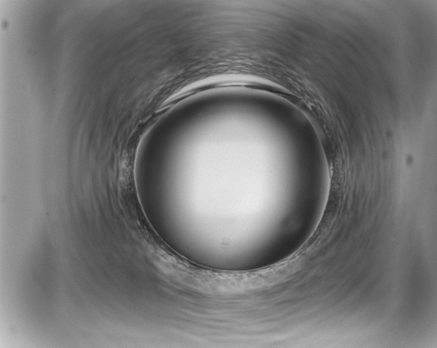 X0000087510037200705041000