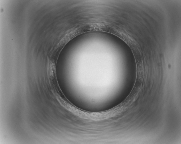 X0000087510038200705041000